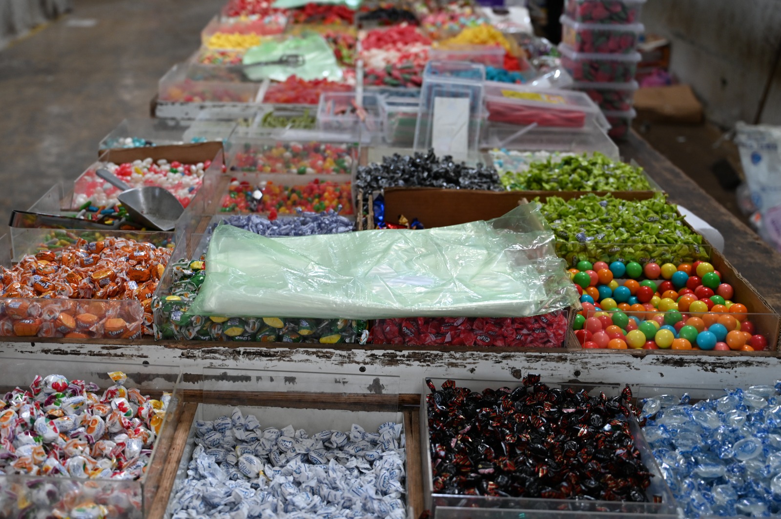 WhatsApp Image 2023-11-24 at 14.43.54 (37).jpeg